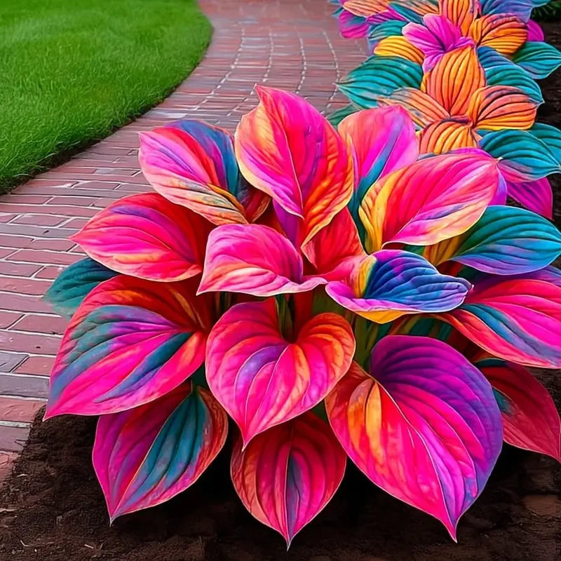 /69a01e8e8f7c21000aa03621/2026/04/14/product-img-69ddee00f707c0639afa4921.png